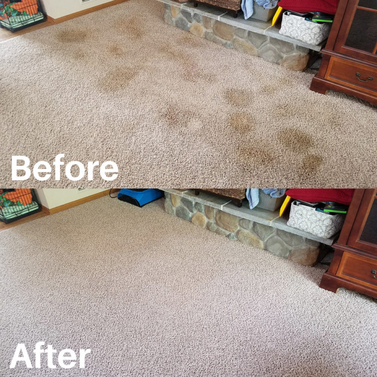 Carpet Cleaning Springfield, Ohio Simply Clean Carpet Care